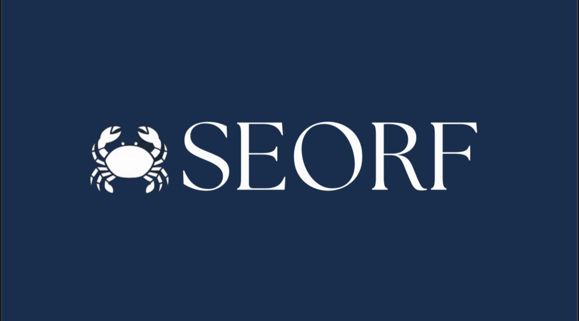 Logo retangular SEORF